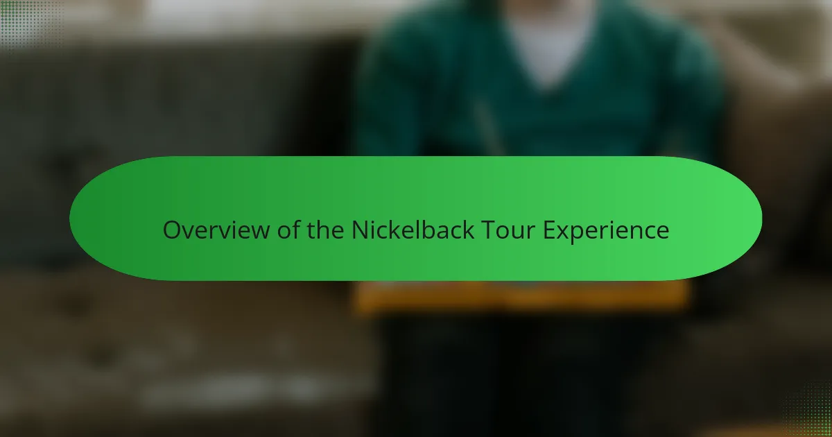 Overview of the Nickelback Tour Experience