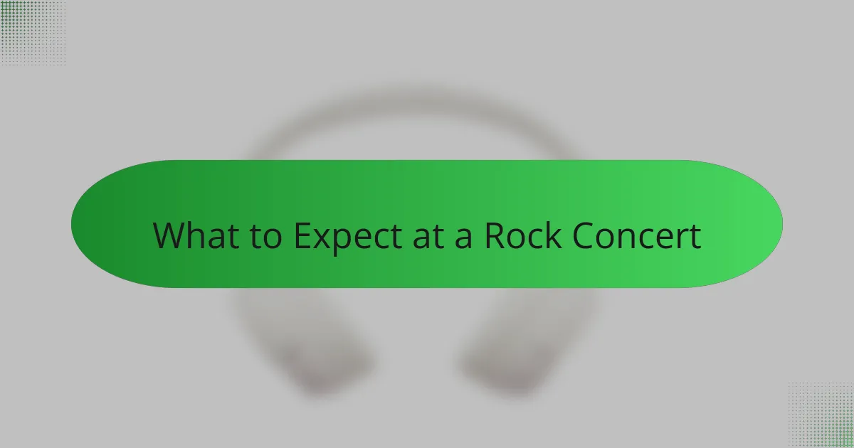 What to Expect at a Rock Concert
